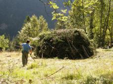 Klik za večjo sliko